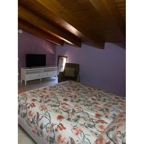 beucarnea apartment salerno