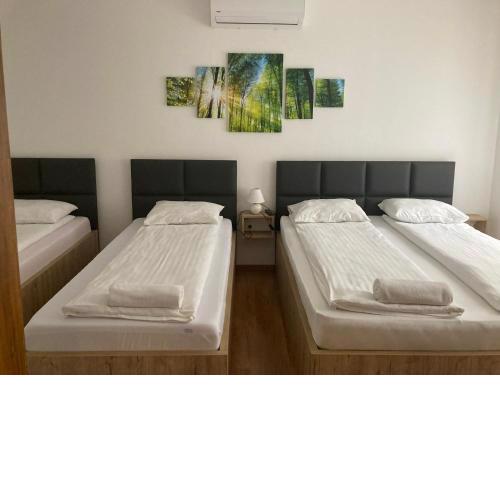 BFG Apartman