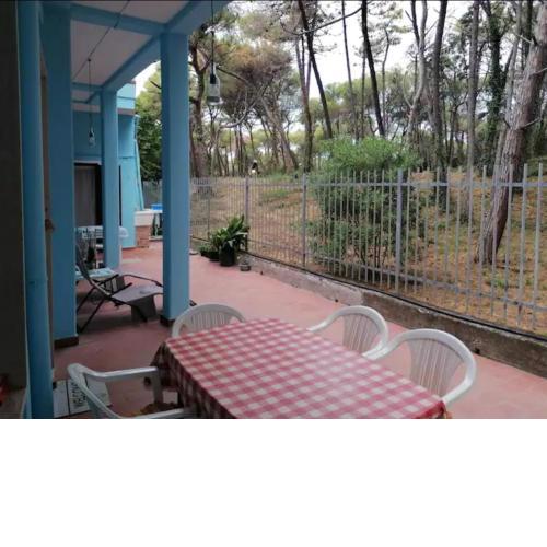Bibbona Summer - Pineta 1 -
