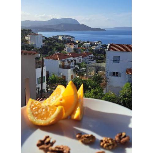 Bicorna - Betreat-inn