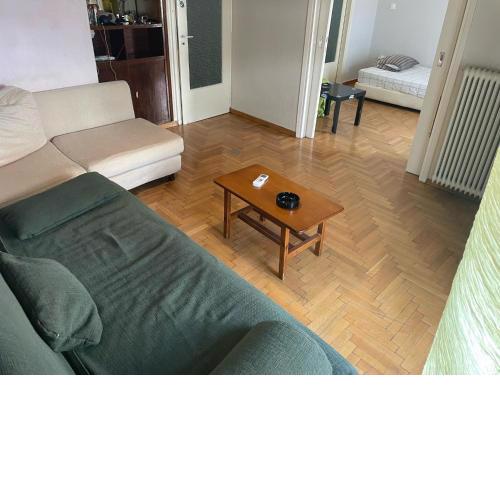 Big private room in a shared house