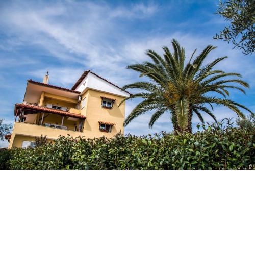Big Summer House Halkidiki