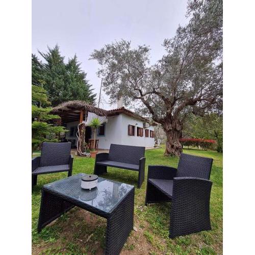 Bill's Garden Villa