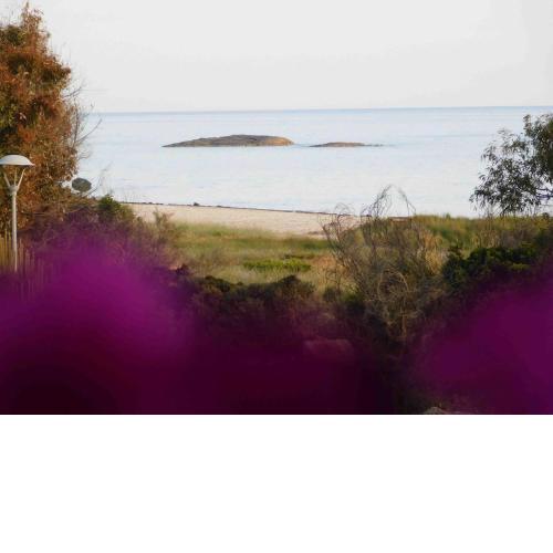 Bilo vista mare Dauni