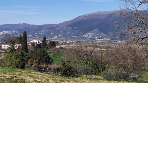 Bilocale panoramico a Spoleto (con ampio giardino)