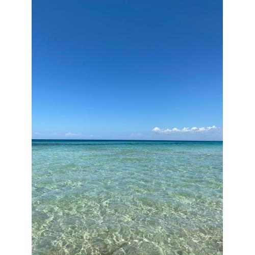 Bilocale sul mare