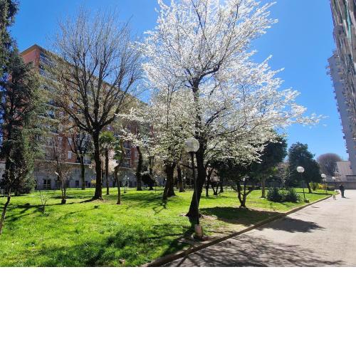 Bilocale sul Naviglio