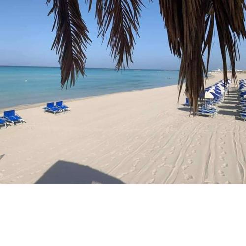Bilocale vista spiaggia 10 metri dal mare