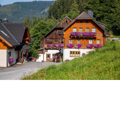 Bio-Bauernhof Grundlehnerhof