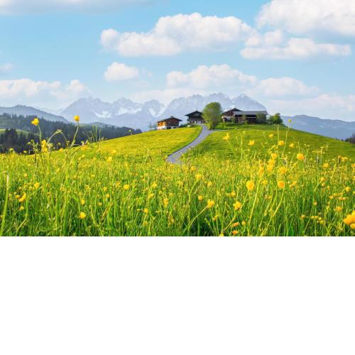 Bio Yoga Hof Kitzbühel