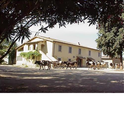 Biobagnolese Agriturismo