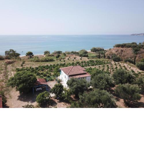 BIZOS Beach