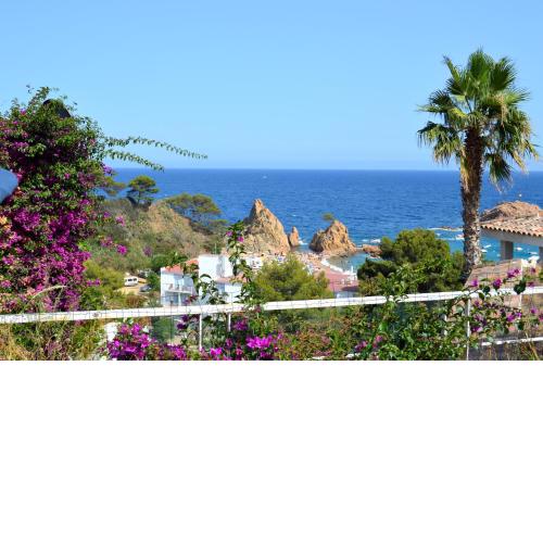 Blanca Paloma - Holiday House