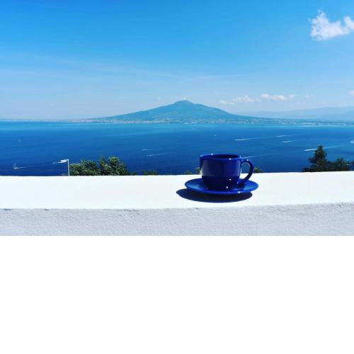 BLUE 51