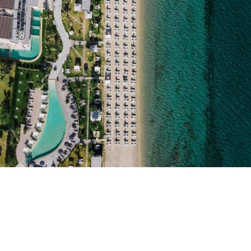 Blue Carpet Luxury Suites
