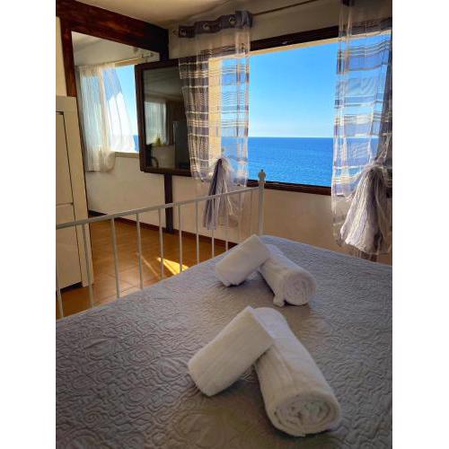 blue coral Apartment