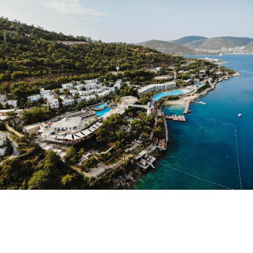 Blue Dreams Resort
