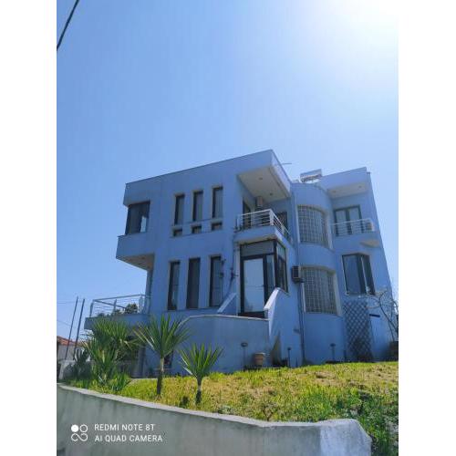 BLUE HOUSE