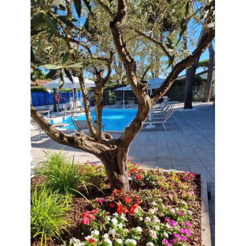 Blue Inn Residence e B&B