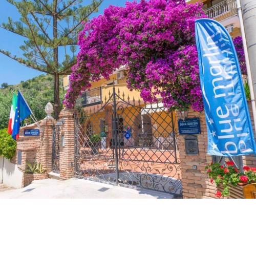 Blue Marlin