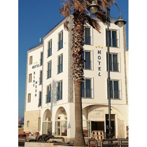 Blue Moon Hotel