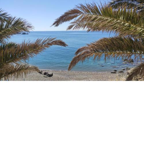Blue Paradise
