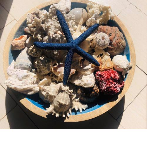 Blue Starfish