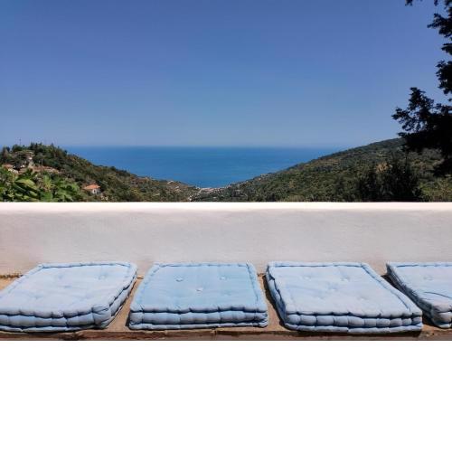 Blue Vista Ikaria