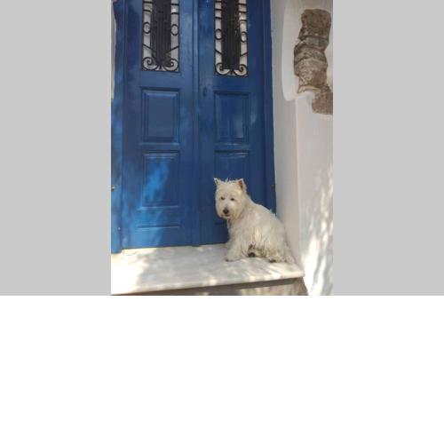 Blue & White: An Absolute Aegean dream house