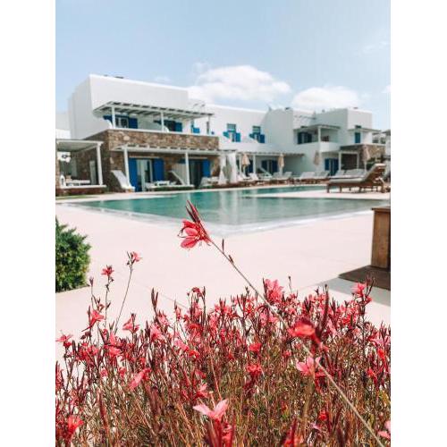 Blue, White and Grey Suites