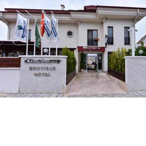 Blueberry Boutique Hotel