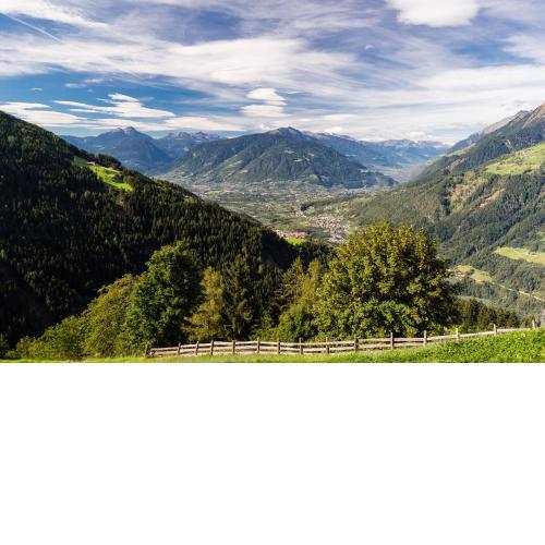Boarbichlhof -Urlaub auf dem Bauernhof