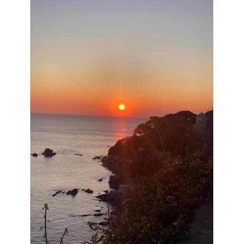 Bogliasco Wine Loft