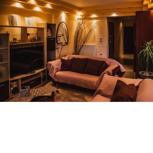 Bojana' s luxury house