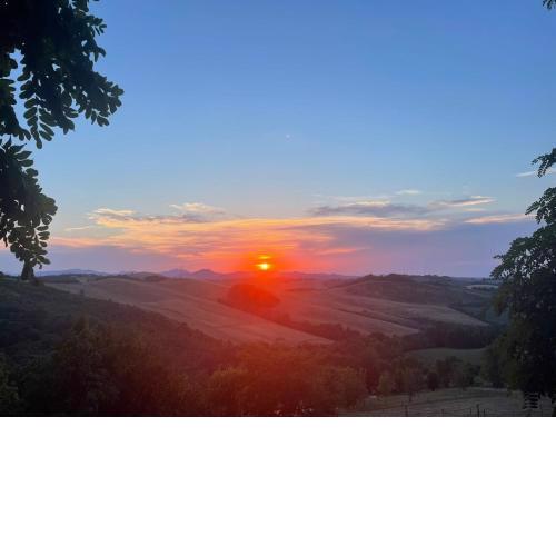 Bollicine al Tramonto