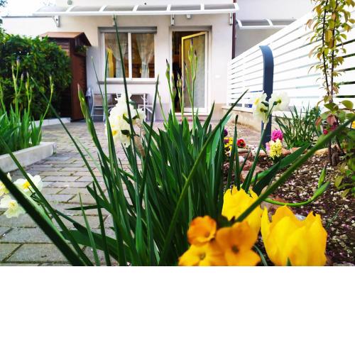 bolognaholidayhome APPARTAMENTO SIGNORINI Giardino e Posto Auto Privato