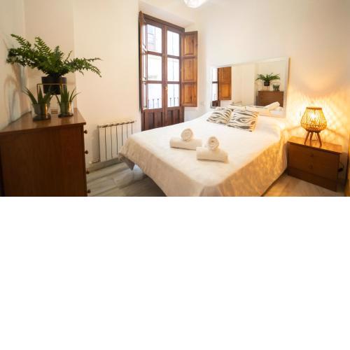 Bonito y acogedor apartamento pleno centro junto Catedral