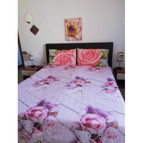 Booking Matera
