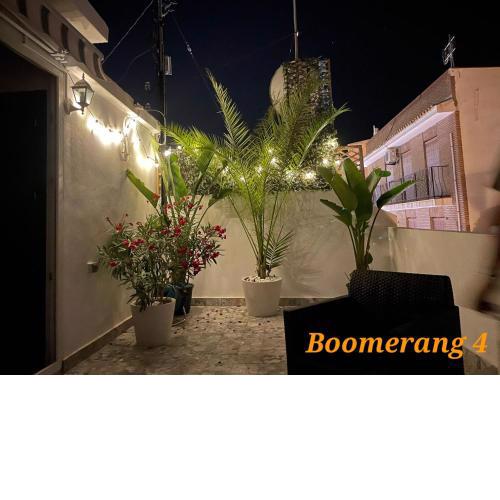 Boomerang