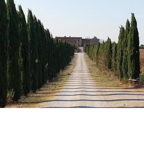 Borgo Beccanella