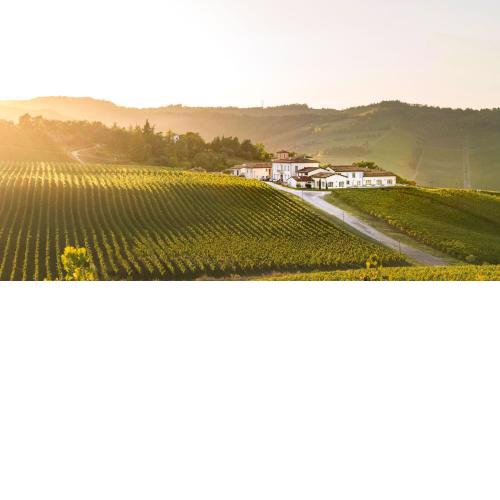 Borgo Conde Wine Resort