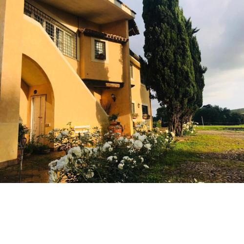 Borgo del Gelso