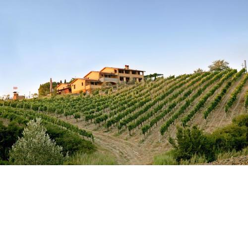 Borgo Filicardo