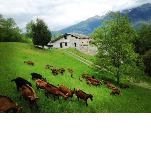 Borgo nella natura Ca' di Facch