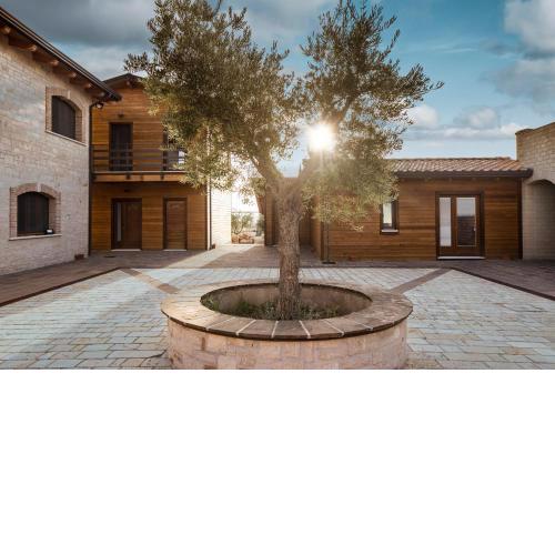 Borgo Olivo