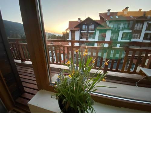 Borovets Hills Apartments - Evergreen Suite
