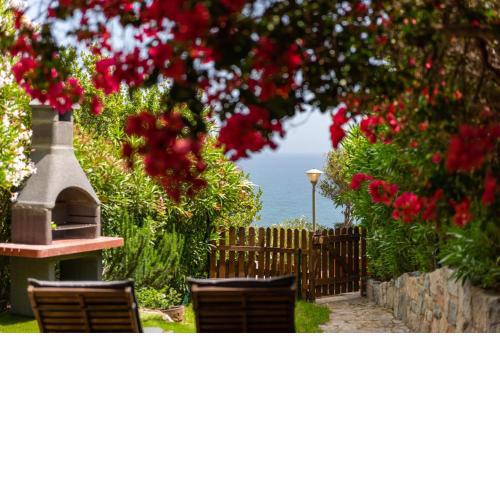 Bougainville