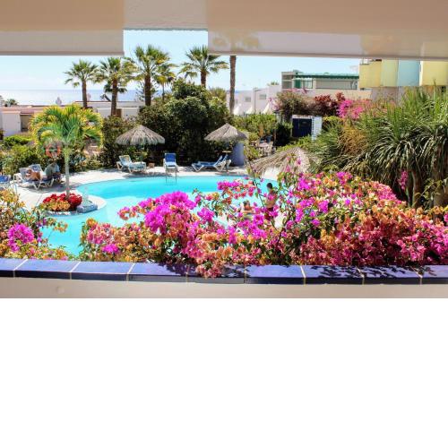 Bougainvillea apartment Bamira