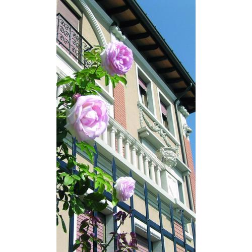 Boutique Apartment Casa Angela