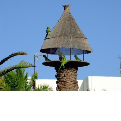 brand new apartment in Primavera